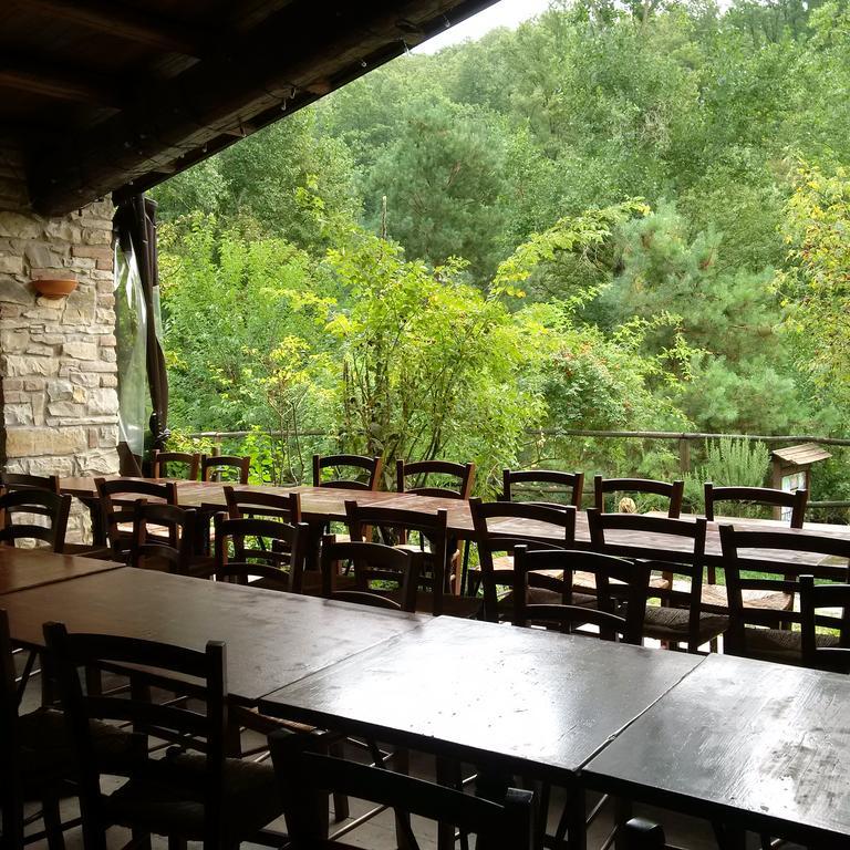 Hotel Parco Matildico Di Montalto Cadelbosco di Sopra Exteriér fotografie